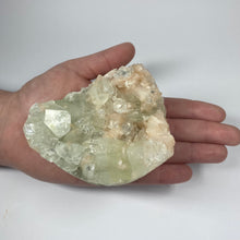 Load image into Gallery viewer, Apophyllite Cluster
