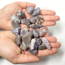 Load image into Gallery viewer, Lepidolite (Tumbled Stone)
